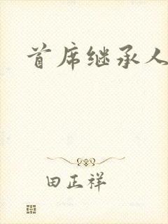 首席继承人封面