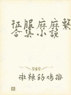 征服麻麻系列大合集小说