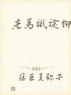 老马识途柳娇娇