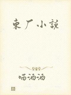 东厂小说