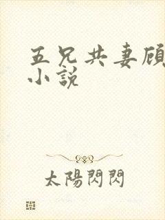 五兄共妻顾心儿小说