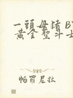 一头母猪 BY 黄金圣斗士