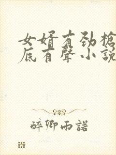 女婿有劲枪枪到底有声小说封面