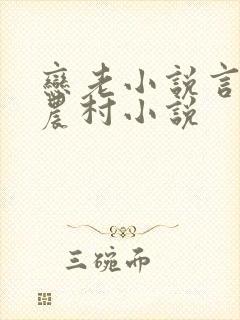 恋老小说言情网农村小说