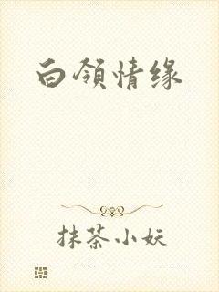 白领情缘
