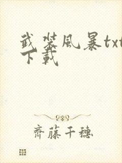 武装风暴txt下载