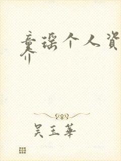 童瑶个人资料简介