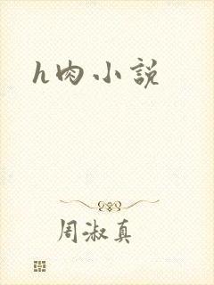 h肉小说