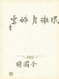 云醉月微眠txt封面