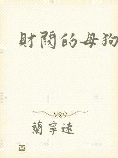 财阀的母狗们