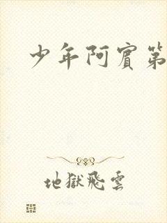 少年阿宾第二部