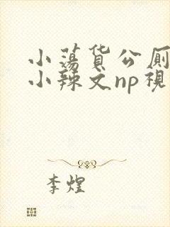 小荡货公厕h文小辣文np视频