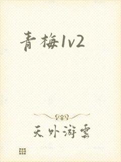青梅1v2