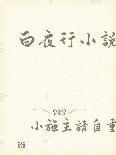 白夜行小说下载
