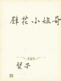 壁花小姐奇遇记