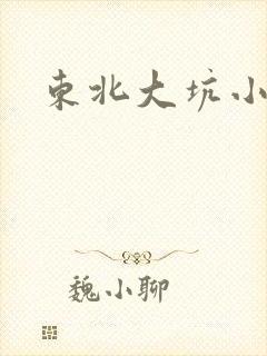 东北大坑小说