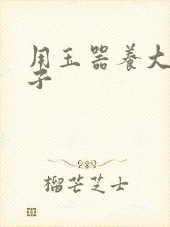 用玉器养大的皇子