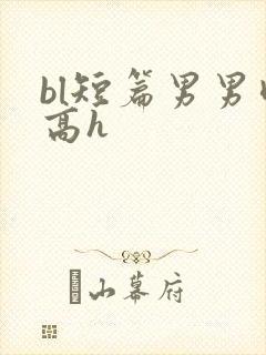 bl短篇男男肉高h封面