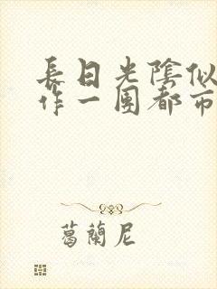 长日光阴似箭乱作一团都市言情封面