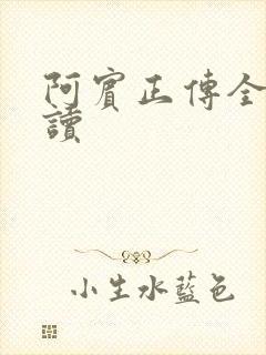 阿宾正传全文阅读