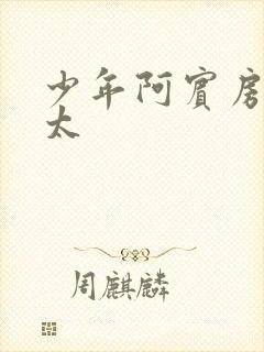 少年阿宾房东太太