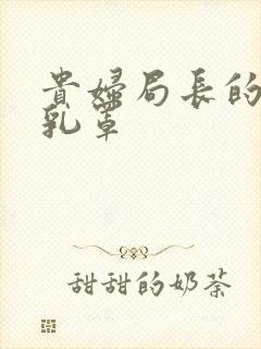 贵妇局长的蕾丝乳罩