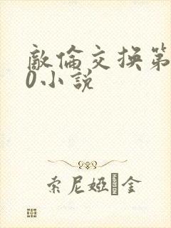 敌伦交换第150小说封面