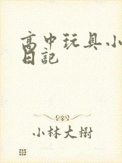高中玩具小诗的日记