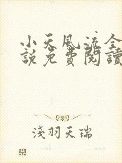 小天风流全集小说免费阅读