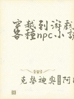 穿越到游戏里和各种npc小说