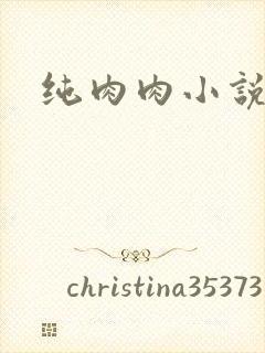 纯肉肉小说