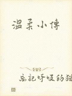 温柔小传