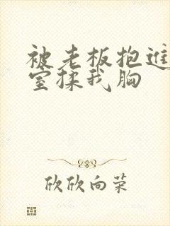 被老板抱进办公室揉我胸