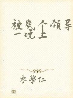 被几个领导玩弄一晚上