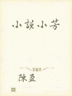 小说小芳