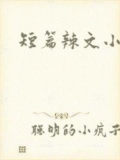 短篇辣文小说