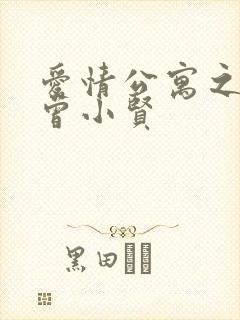 爱情公寓之极品曾小贤