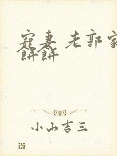 宠妻 老郭家的饼饼