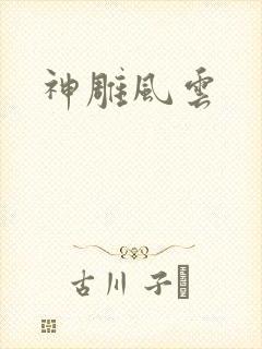 神雕风云