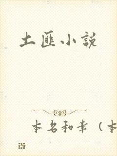 土匪小说