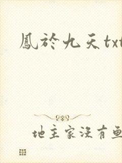 凤于九天txt