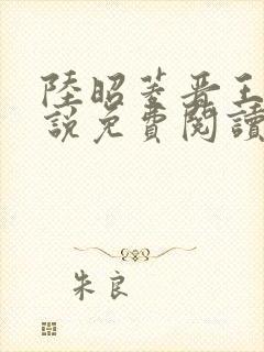 陆昭菱晋王的小说免费阅读