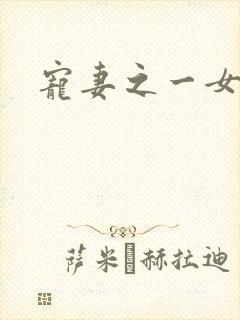 宠妻之一女二夫