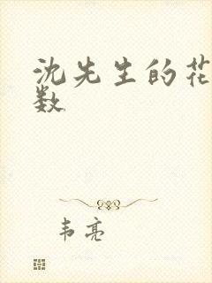 沈先生的花式调数