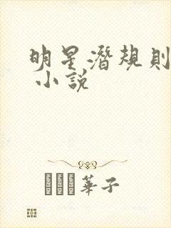 明星潜规则之皇 小说