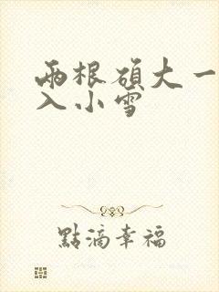 两根硕大一起挤入小雪