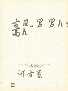 古风男男h文肉高h封面
