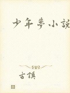 少年梦小说