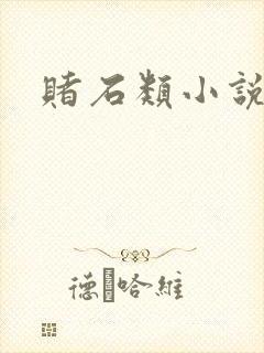 赌石类小说