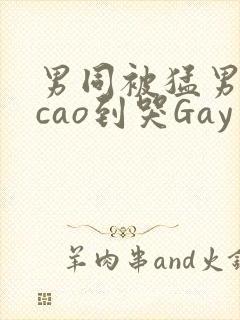 男同被猛男房东cao到哭Gay
